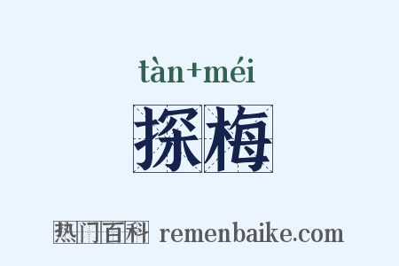 探梅是什么意思的图片